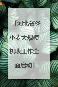 河北省冬小麦大规模机收工作全面启动